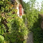 Letni Na Mazurach Sądry