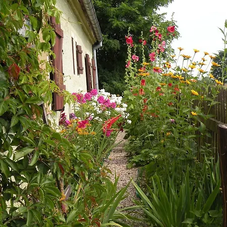 Letni Na Mazurach Sądry