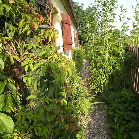 Letni Na Mazurach Sądry